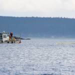 Volunteers from IOSA held a training exercise off Jackson Beach on Saturday, Sept. 21. Here they can be seen deploying a containment boom. <em>(Heather Spaulding/staff photo)</em>