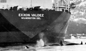 <em>(Canadian Journal of Zoology 2. Craig Matkin/North Gulf Oceanic Society)</em>