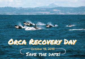 Conservation district to hold event in honor of orcas