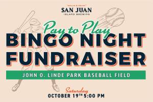 Bingo for the baseball field