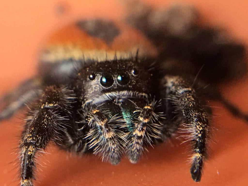 (Cyndi Brast/contributed photo)