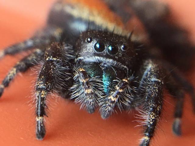 (Cyndi Brast/contributed photo)