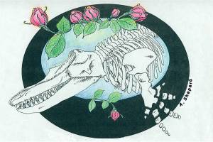 Remembering orcas that have passed