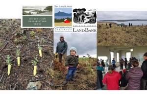 Orca Recovery Day 2019 a success