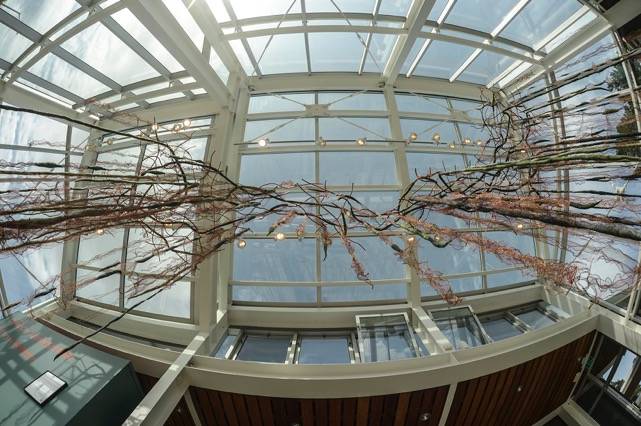 ‘Tides of Transition’ opens at San Juan Islands Museum of Art