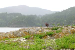 Protest period opens for monument management plan