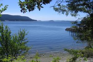 Washington State Parks acquires 134-acre Point Lawrence property on Orcas