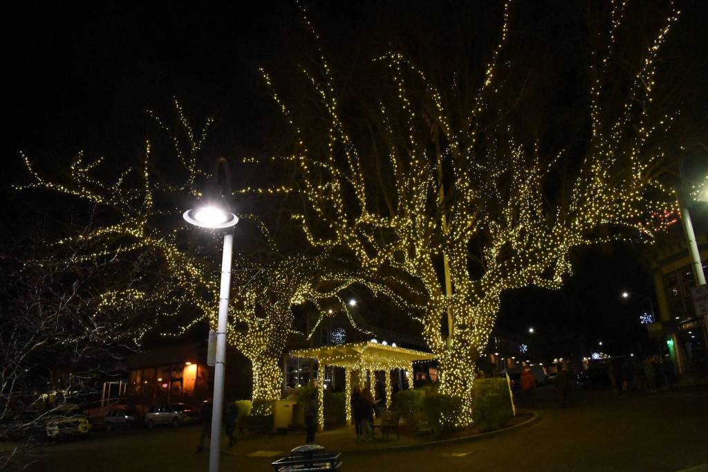 Tate Thomson/staff photo                                Winter Fest kicked off in Friday Harbor with tree lighting, a visit from Santa and Christmas crafts on Saturday, Nov. 30.