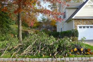 Friday Harbor yard waste pickup, Dec. 27