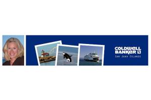 Custom construction or buy existing and remodel?