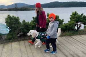 Thoughts from Ukie, an autism service dog