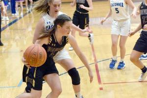 Wolverine basketball update