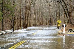 Business disaster training