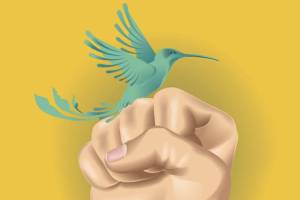 When is it OK to give someone the bird?