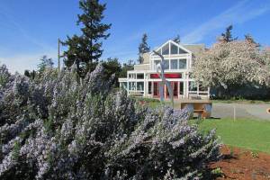 Community theater’s plans for COVID-19 cancelations and potential closure