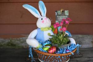 Easter baskets still available despite sale cancelation