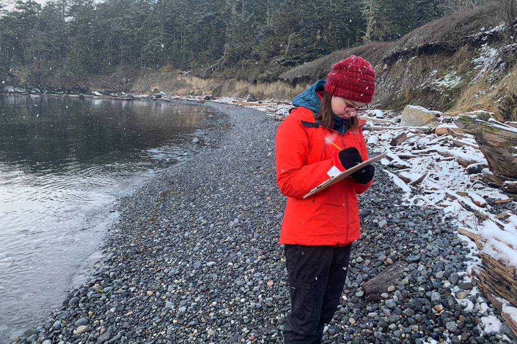 Volunteer on a beach during a snowy day. (Friends of the San Juans)
