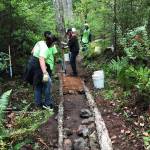 Lopez youth crew trail raising. (Contributed photo)