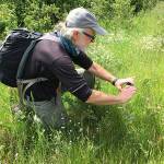 Trail Times: Spring discoveries