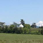 Trail Times: Spring discoveries