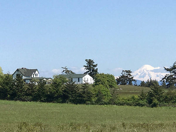 Trail Times: Spring discoveries