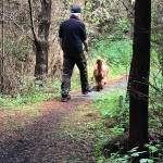 Trail Times: Spring discoveries