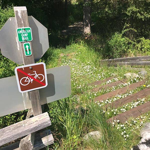 Trail Times: Spring discoveries