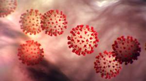 (Centers for Disease Control and Prevention/contributed photo)