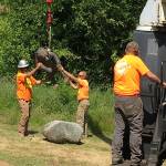 Three Grizzlies Find a New Home at SJI Sculpture Park