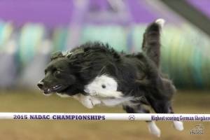 Canine champion donates winnings to pet food pantry program