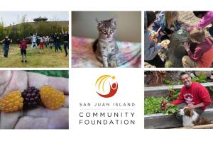 SJICF launches virtual fair matching grant program