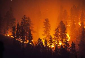 Get ready for that summer road trip: Make sure your ride doesn’t spark wildfires