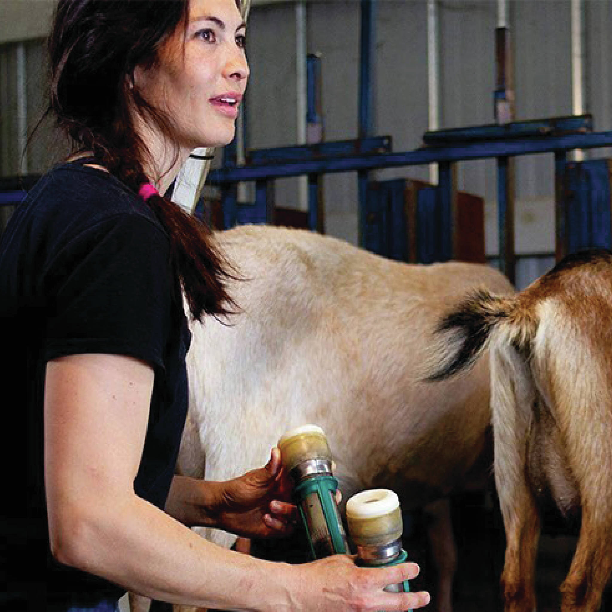 WSU Extension offers Whole Farm planning course this fall