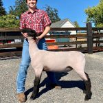 Anthony Amaro, from San Juan Island, won reserve grand champion with his market lamb. (Contributed photo)