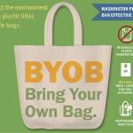 Mandi's edit of the ecology poster