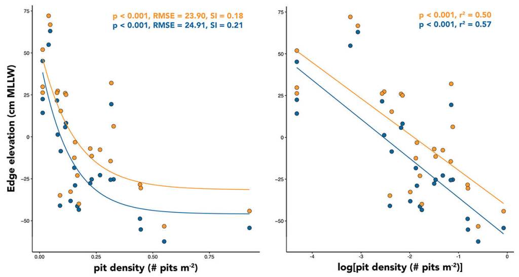 The untransformed data showing the non-linear relationship between the density of sea otter pits (site-wide sum) and the elevation of the continuous edge of the eelgrass. The orange points/line represent the elevations of the diffuse edge and the blue points/line represent the elevation of the continuous edge of the eelgrass bed. Each point represents one of 26 sites. (right) The same data, but pit density log-transformed.