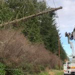 (Orcas Power and Light Cooperative photo)