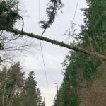 (Orcas Power and Light Cooperative photo)