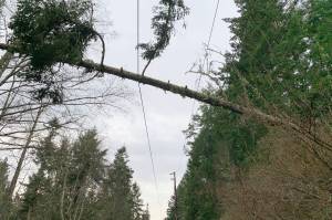 (Orcas Power and Light Cooperative photo)