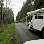 (Orcas Power and Light Cooperative photo)
Trees fell on powerlines in San Juan County during severe winds the night of Jan.12, however, the power remained off for more than 18 hours as crews on the mainland also worked to clean up storm damage. (Orcas Power and Light Cooperative photo)