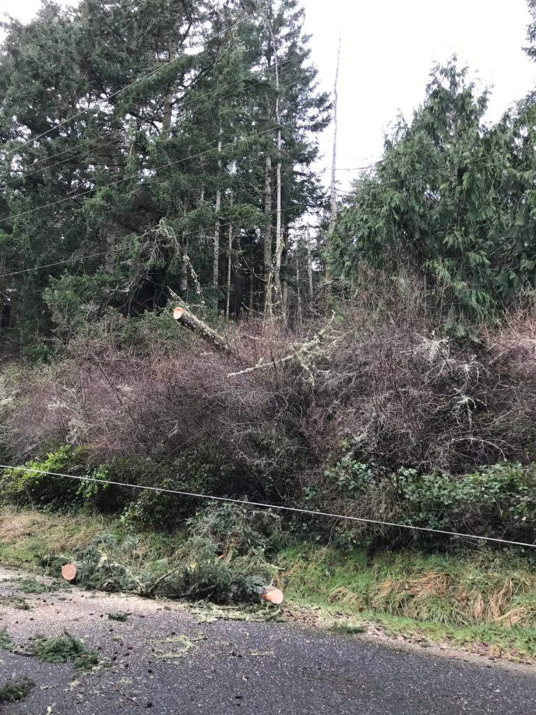 (Orcas Power and Light Cooperative photo)