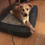 Booker during his first week on Lopez.