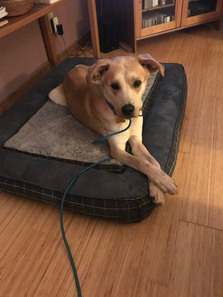 Booker during his first week on Lopez.