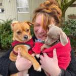 Jasper and Grace McCune with Misha (far right) on the first day they met.