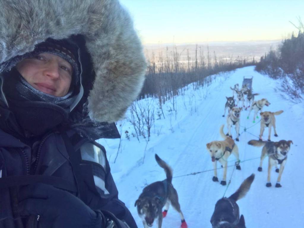 Stoddard in a Fox Alaska training run with his dog team. (Contributed photo)