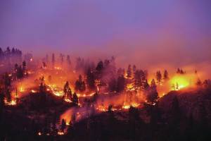 metro creative stock