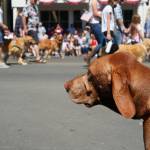 (Sienna Boucher/staff photo)