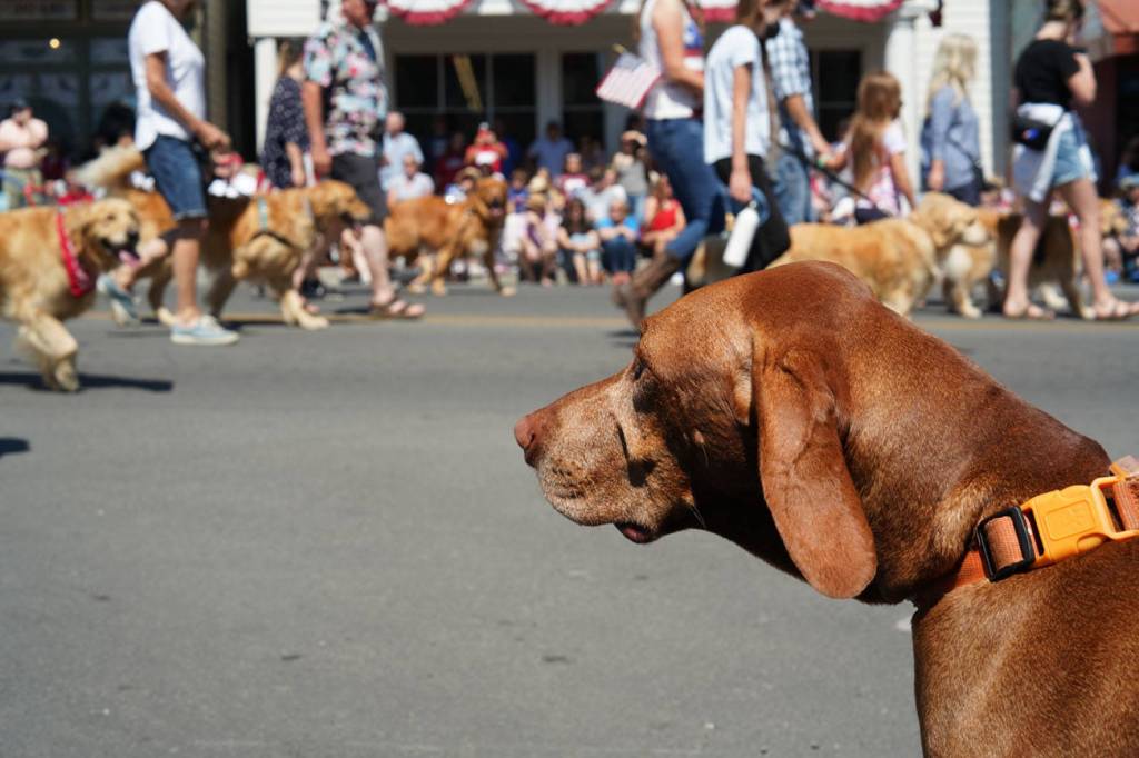 (Sienna Boucher/staff photo)