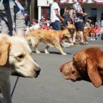 (Sienna Boucher/staff photo)