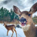 (Amber Chenoweth photo)